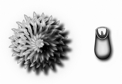 . 11.    ()